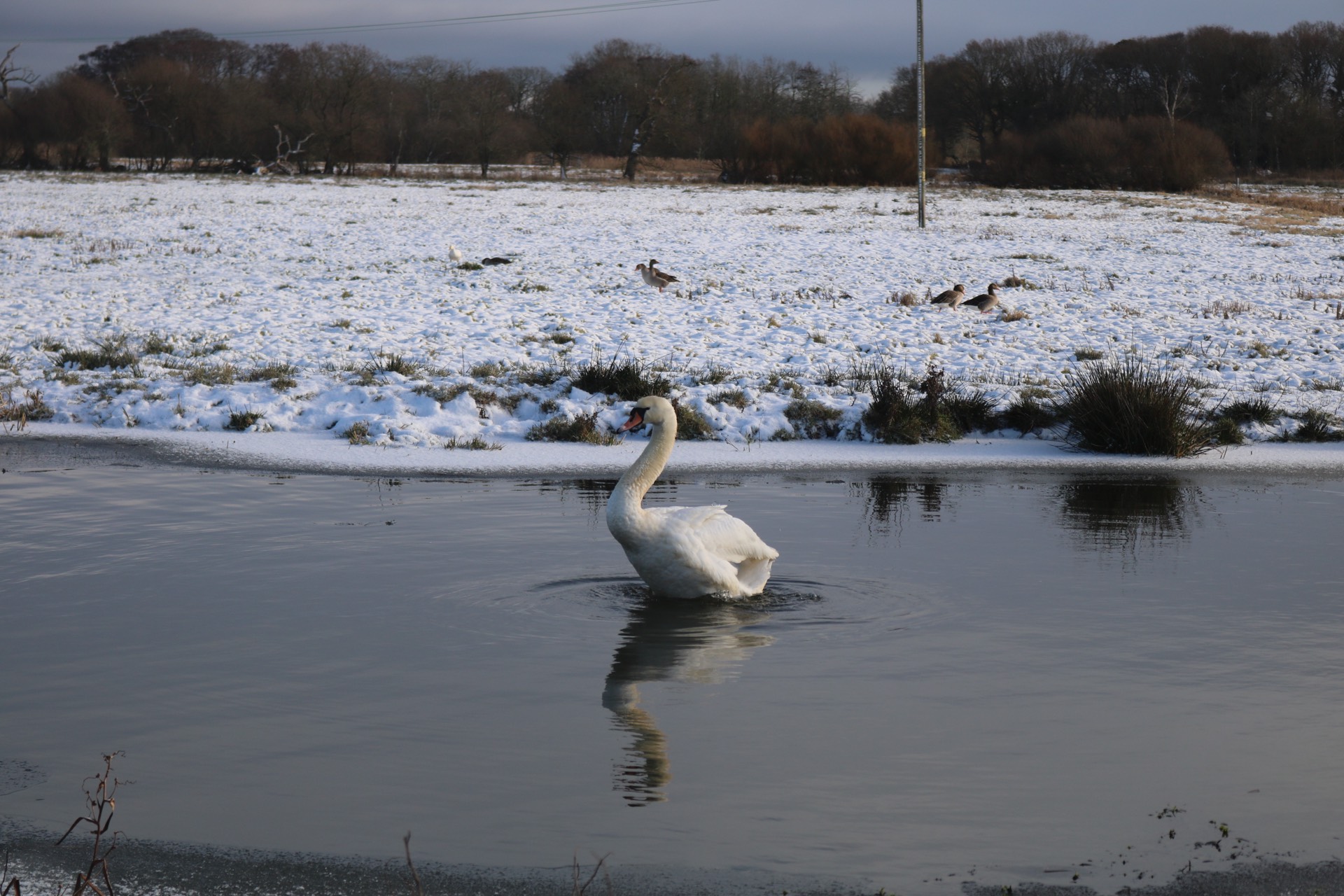 Paddling a canoe along the quiet canal at Dilham
