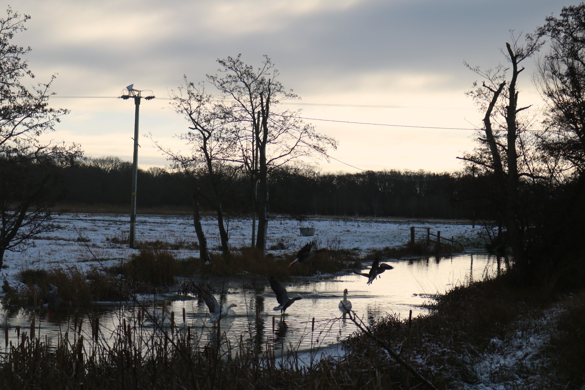 A family paddling together at Dilham