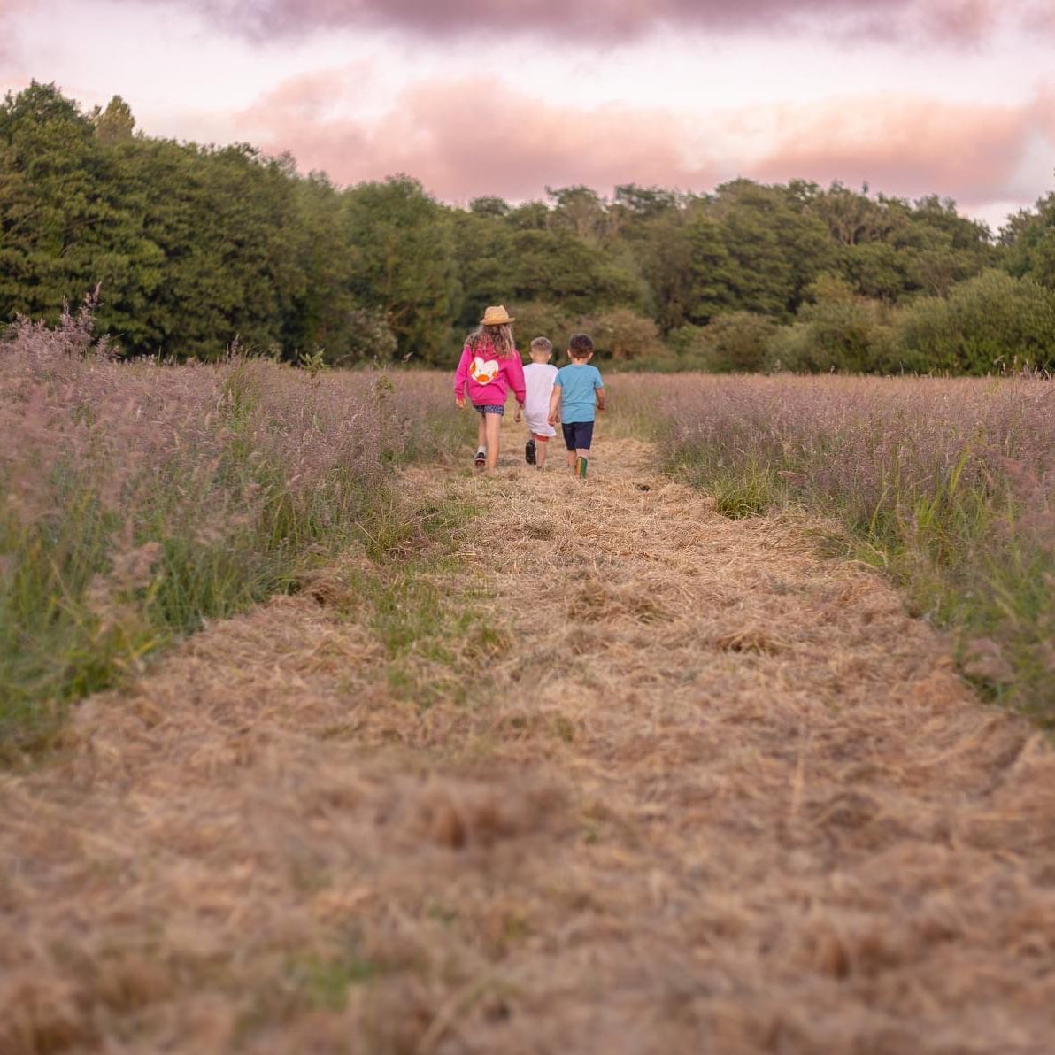 dilham hall retreats norfolk camping children family bell-tent