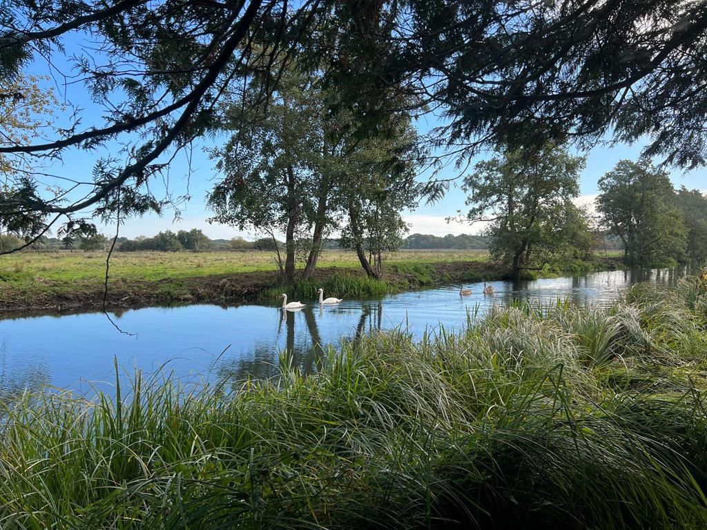 Dilham Hall Retreats swans on private canal norfolk broads dilham hall canoe hire retreats broad fen
 couples norfolk broads dilham hall retreats luxury canoe hire nature 